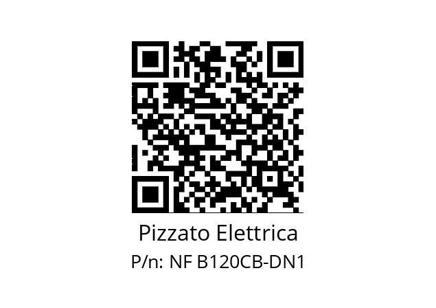   Pizzato Elettrica NF B120CB-DN1