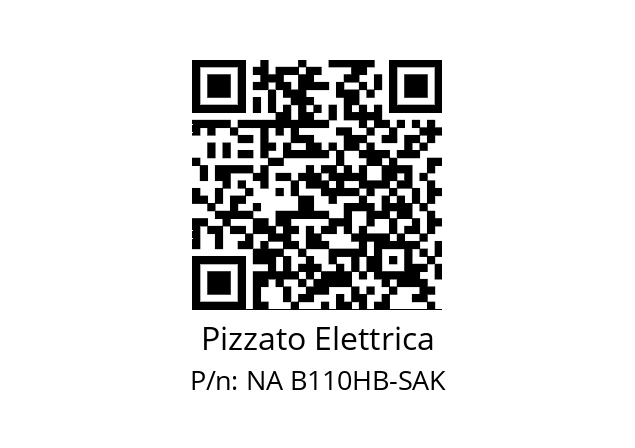   Pizzato Elettrica NA B110HB-SAK