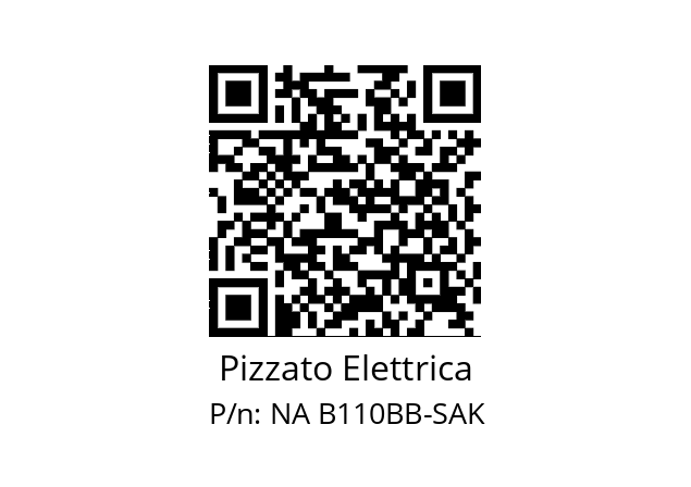   Pizzato Elettrica NA B110BB-SAK