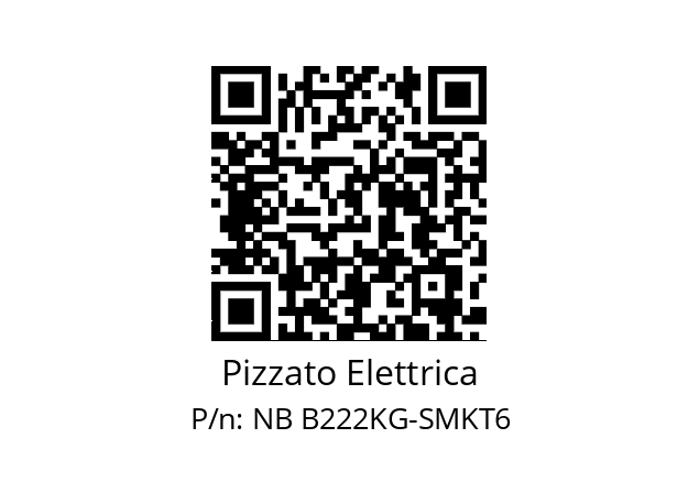   Pizzato Elettrica NB B222KG-SMKT6