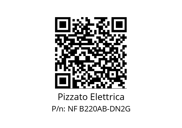   Pizzato Elettrica NF B220AB-DN2G