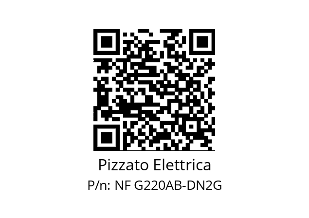   Pizzato Elettrica NF G220AB-DN2G