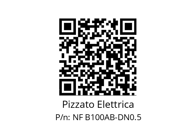   Pizzato Elettrica NF B100AB-DN0.5