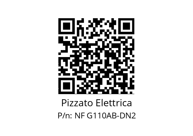   Pizzato Elettrica NF G110AB-DN2