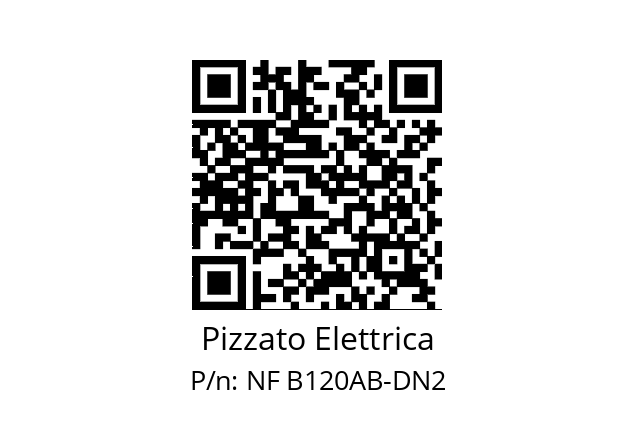   Pizzato Elettrica NF B120AB-DN2