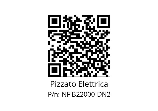   Pizzato Elettrica NF B22000-DN2