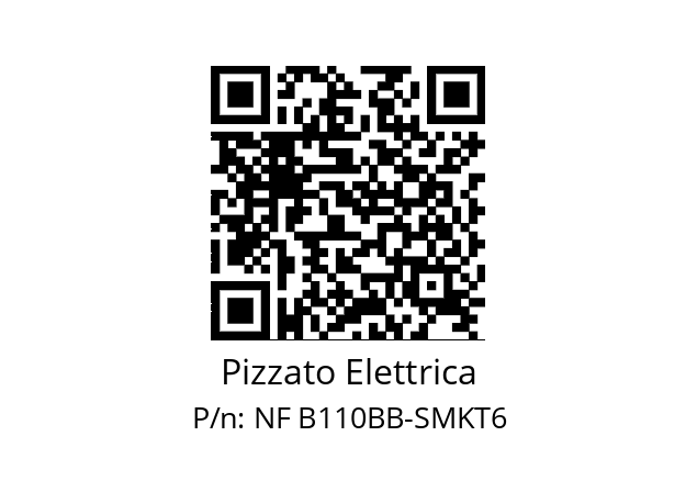   Pizzato Elettrica NF B110BB-SMKT6