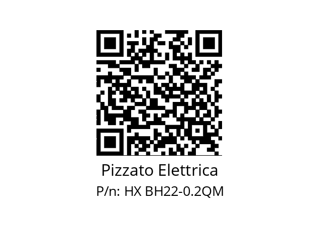   Pizzato Elettrica HX BH22-0.2QM