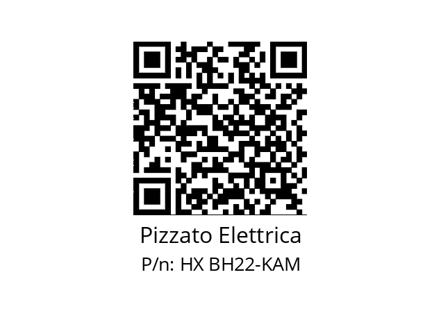   Pizzato Elettrica HX BH22-KAM