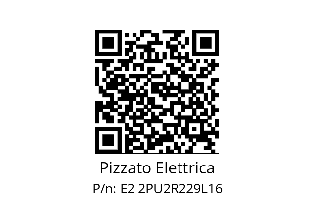   Pizzato Elettrica E2 2PU2R229L16