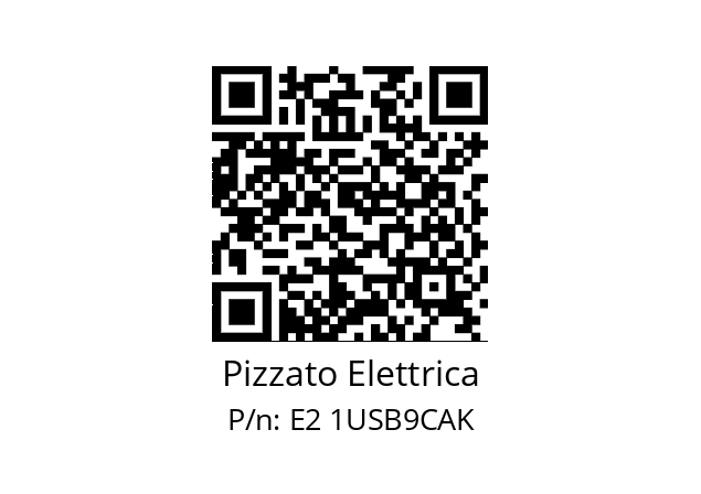   Pizzato Elettrica E2 1USB9CAK