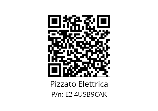   Pizzato Elettrica E2 4USB9CAK