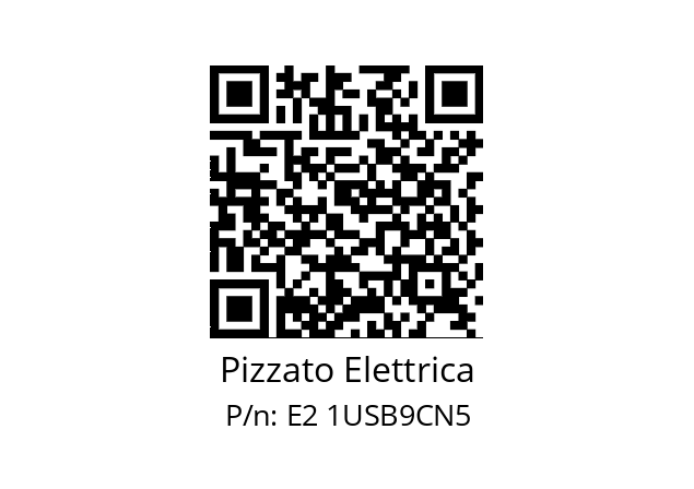   Pizzato Elettrica E2 1USB9CN5