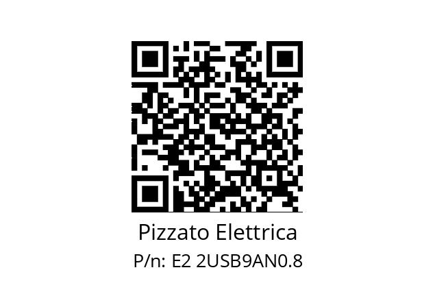   Pizzato Elettrica E2 2USB9AN0.8