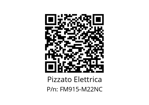   Pizzato Elettrica FM915-M22NC