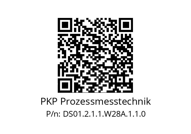   PKP Prozessmesstechnik DS01.2.1.1.W28A.1.1.0