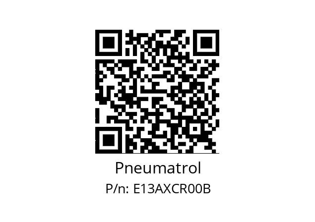   Pneumatrol E13AXCR00B