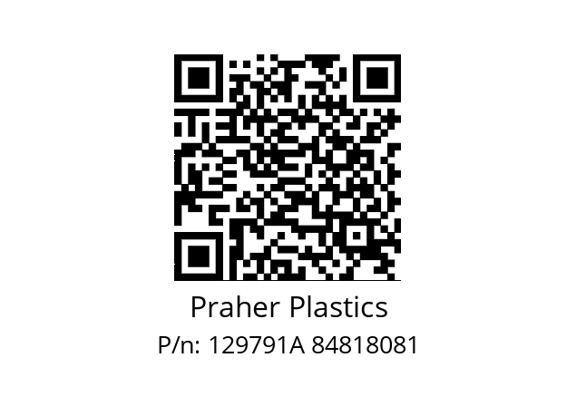   Praher Plastics 129791A 84818081