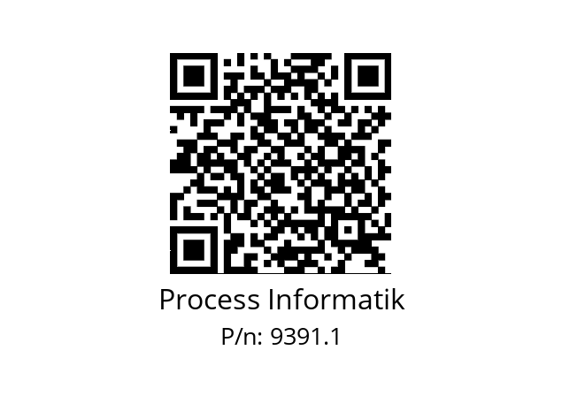   Process Informatik 9391.1