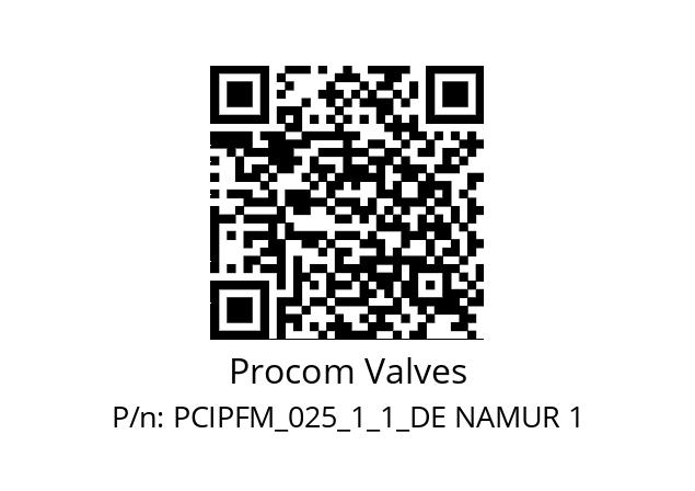   Procom Valves PCIPFM_025_1_1_DE NAMUR 1