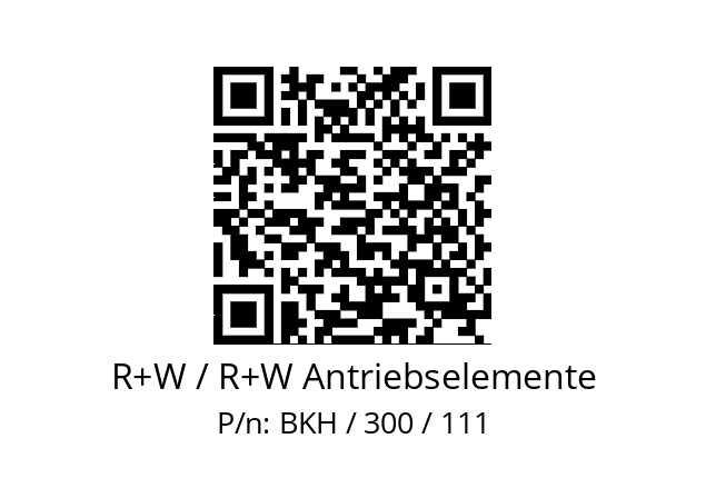   R+W / R+W Antriebselemente BKH / 300 / 111