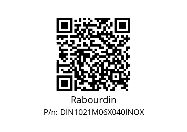   Rabourdin DIN1021M06X040INOX