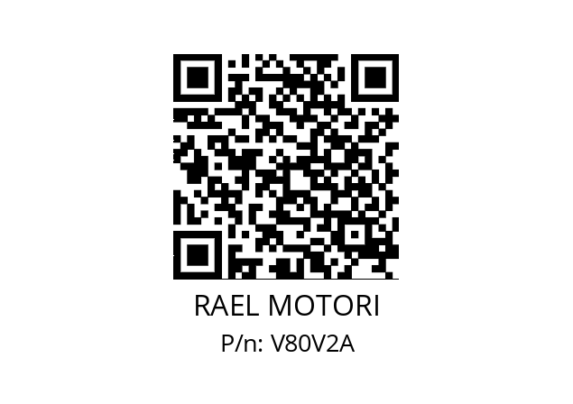   RAEL MOTORI V80V2A