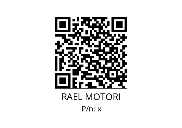   RAEL MOTORI х