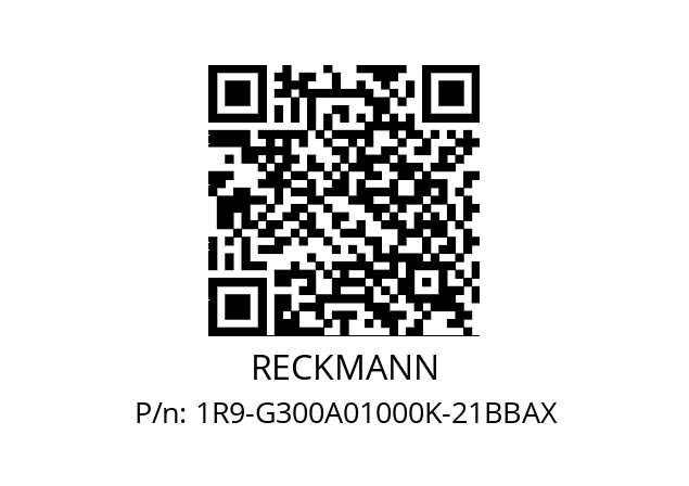   RECKMANN 1R9-G300A01000K-21BBAX