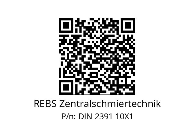   REBS Zentralschmiertechnik DIN 2391 10X1