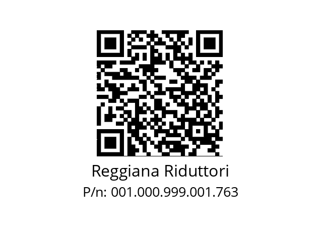   Reggiana Riduttori 001.000.999.001.763