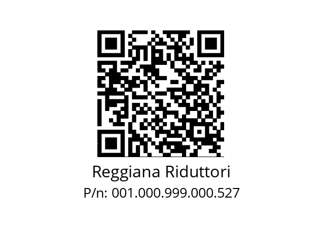   Reggiana Riduttori 001.000.999.000.527