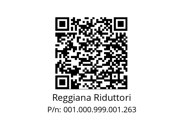   Reggiana Riduttori 001.000.999.001.263