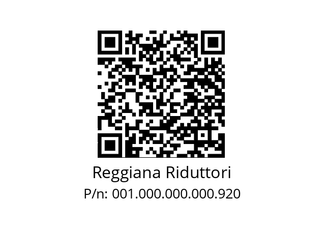   Reggiana Riduttori 001.000.000.000.920