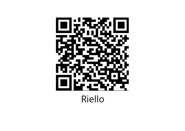  3006311 Riello 