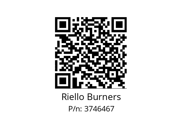   Riello Burners 3746467