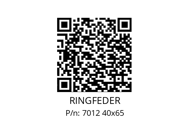   RINGFEDER 7012 40x65