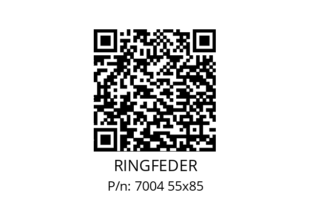   RINGFEDER 7004 55x85