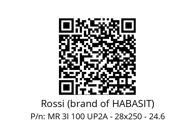   Rossi (brand of HABASIT) MR 3I 100 UP2A - 28x250 - 24.6