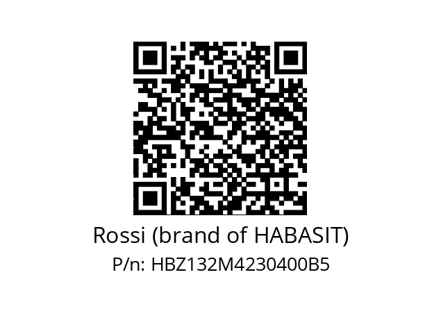   Rossi (brand of HABASIT) HBZ132M4230400B5