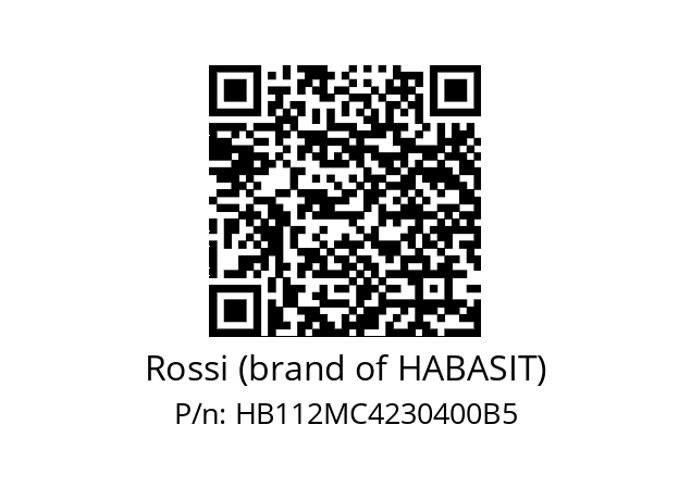   Rossi (brand of HABASIT) HB112MC4230400B5