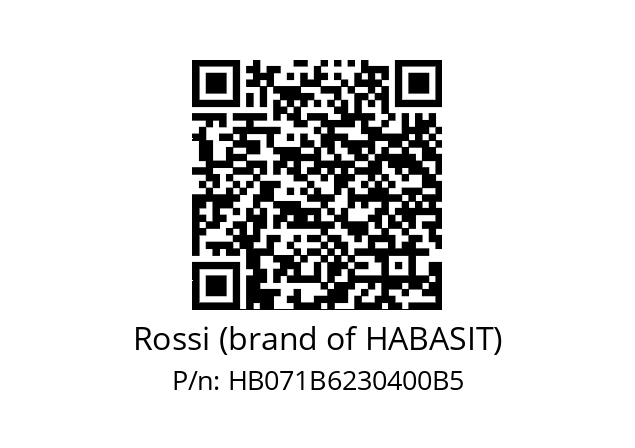   Rossi (brand of HABASIT) HB071B6230400B5