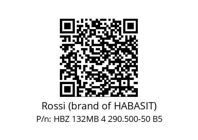   Rossi (brand of HABASIT) HBZ 132MB 4 290.500-50 B5