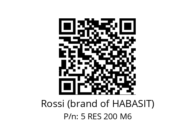   Rossi (brand of HABASIT) 5 RES 200 M6