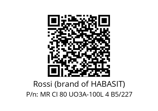   Rossi (brand of HABASIT) MR CI 80 UO3A-100L 4 B5/227