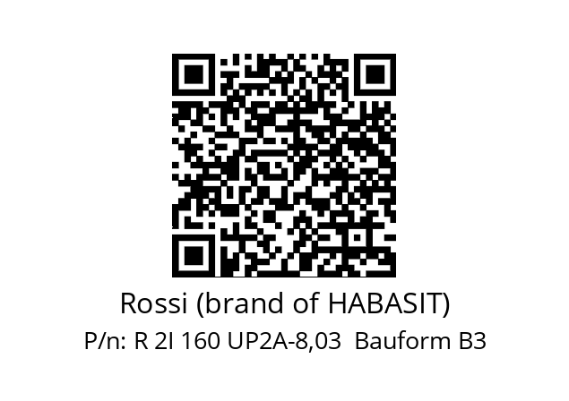   Rossi (brand of HABASIT) R 2I 160 UP2A-8,03  Bauform B3