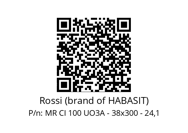   Rossi (brand of HABASIT) MR CI 100 UO3A - 38x300 - 24,1