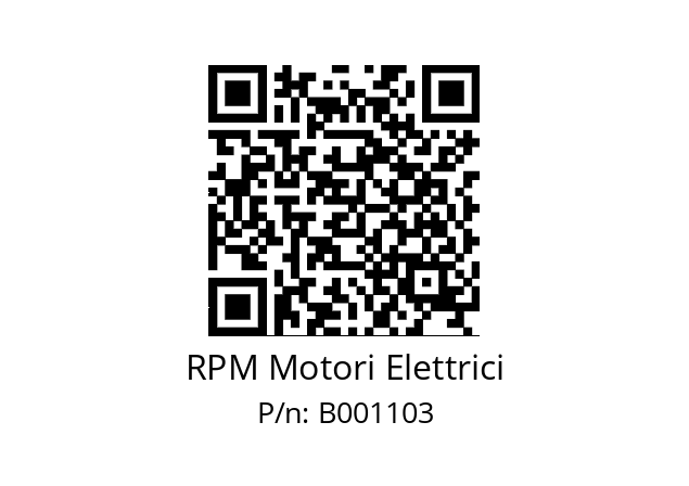   RPM Motori Elettrici B001103