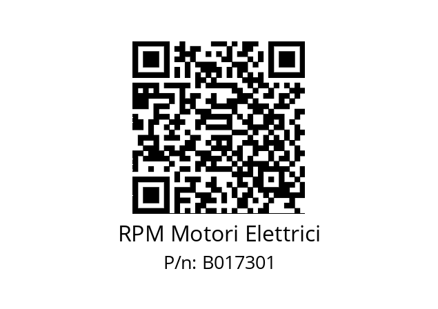   RPM Motori Elettrici B017301