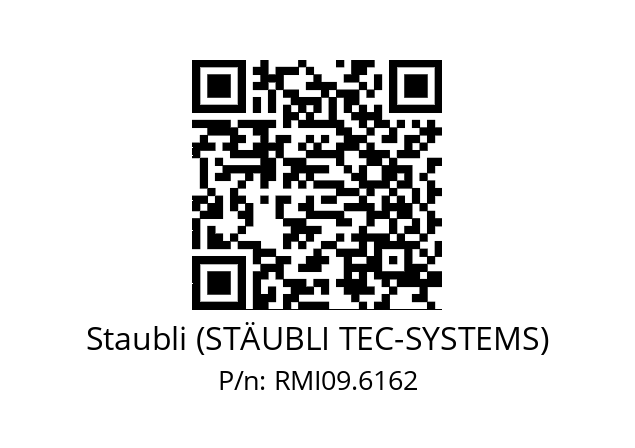   Staubli (STÄUBLI TEC-SYSTEMS) RMI09.6162